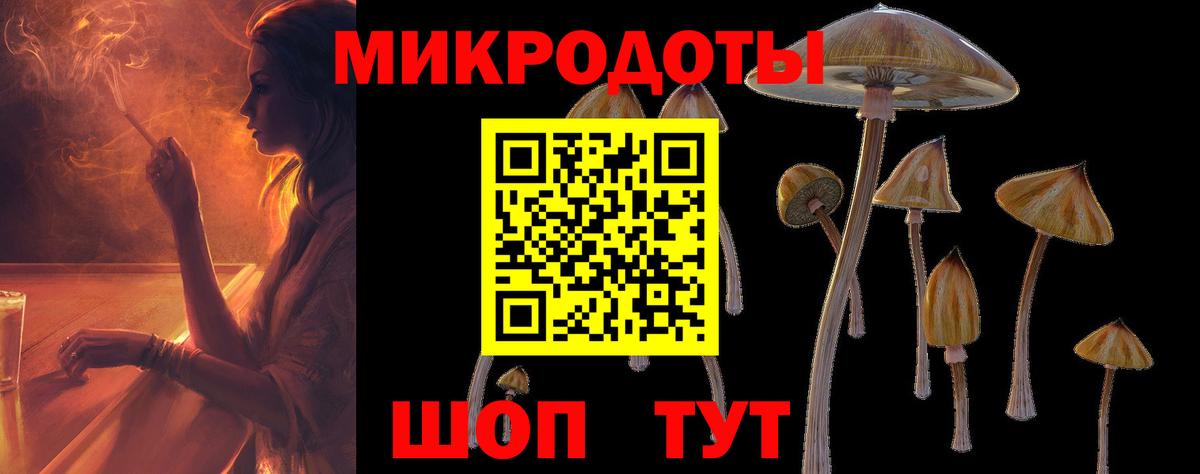 Галлюциногенные грибы Psilocybe  Вход с VPN  Муром  Псилоцибиновые грибы Psilocybine cubensis 