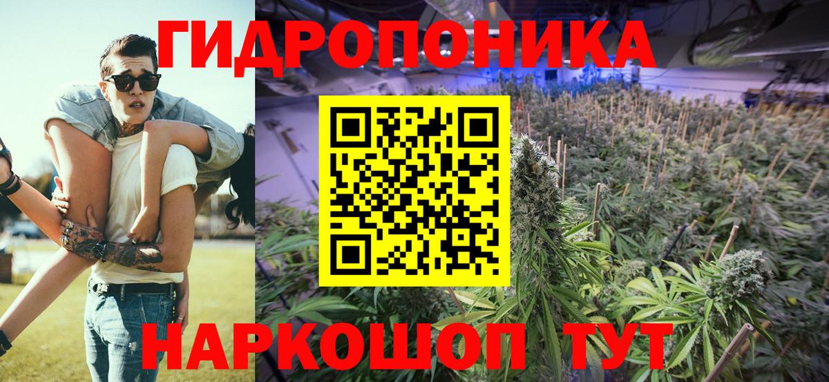 Конопля Amnesia  Вход с VPN  Бошки марихуана сатива  Муром  Конопля ГИДРОПОН  Шишки марихуана Ganja 